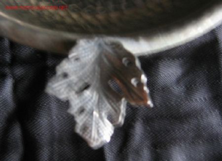 Ceniceros:   - Foto 2