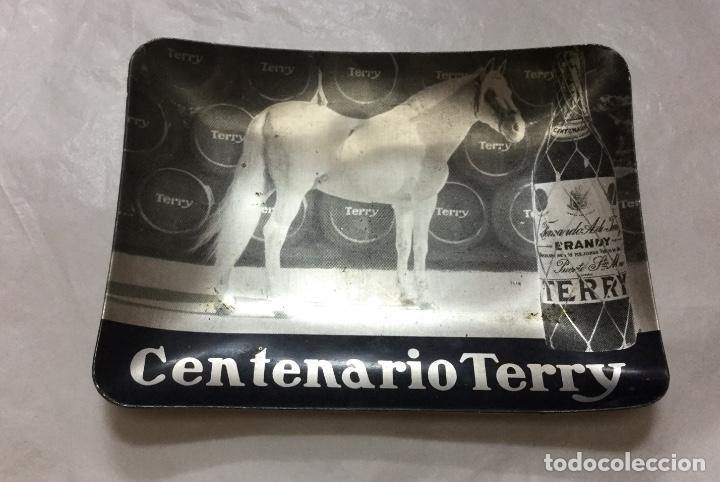 Ceniceros: Ceniceros CENTENARIO TERRY CO&Ntilde;AC - Foto 2