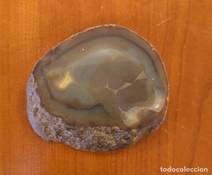 Ceniceros: Cenicero de Piedra - Foto 2