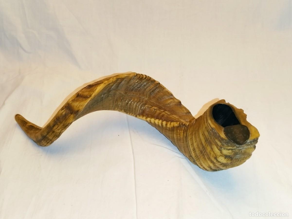 Ashtrays: Bello cenicero de asta de cabra mont&eacute;s 32cm