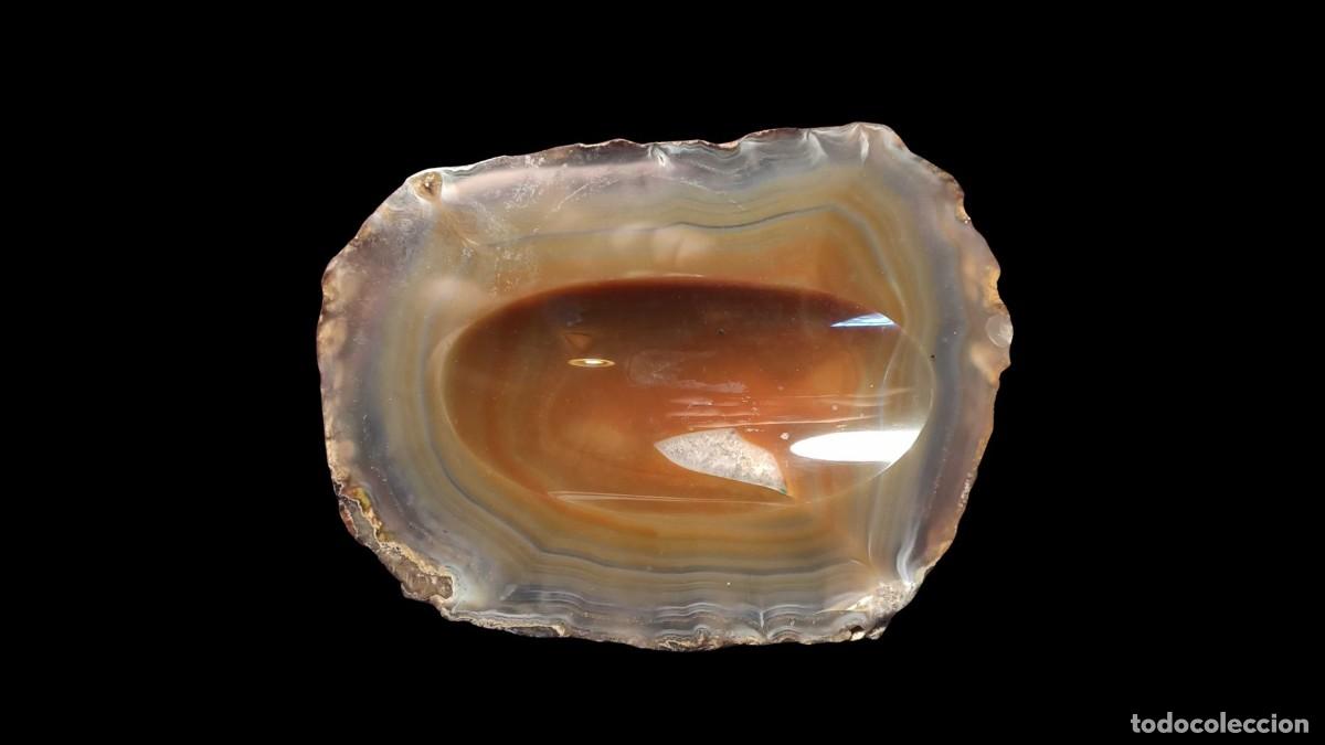 Cendriers: CENICERO DE &Aacute;GATA NATURAL PULIDA - GEODA CORTADA - ORIGEN BRASIL - A&Ntilde;OS 70-80 - PIEZA &Uacute;NICA
