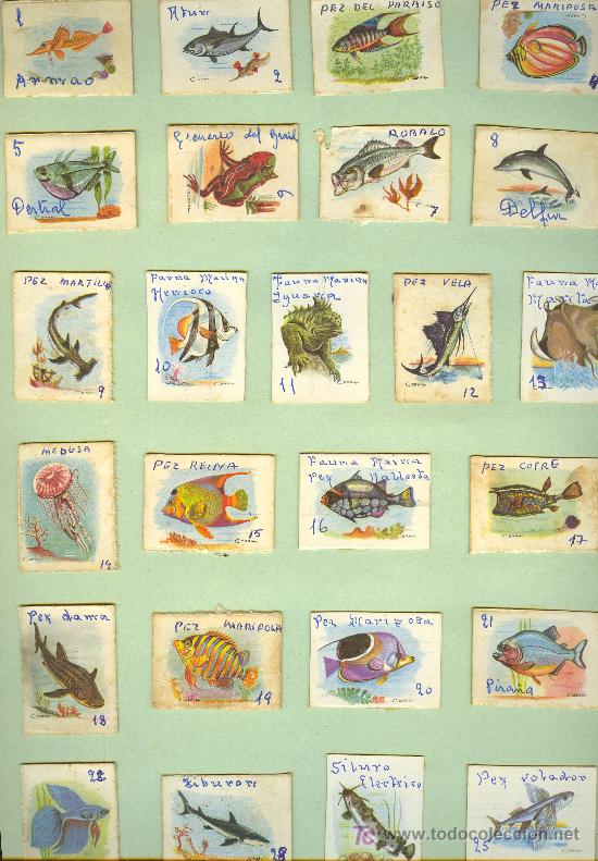 Cajas de cerillas: COLECCION DE CAJAS CERILLAS DE PECES. - Foto 1