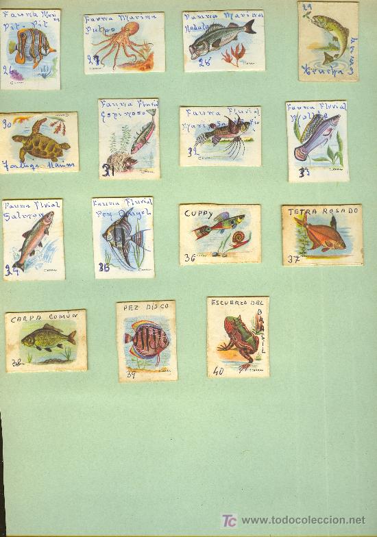 Cajas de cerillas: COLECCION DE CAJAS CERILLAS DE PECES. - Foto 2
