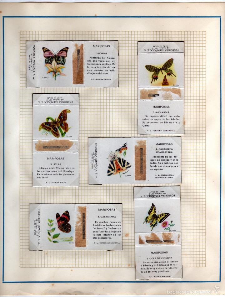 Cajas de cerillas: fosforera espa&ntilde;ola serie mariposas - Foto 1