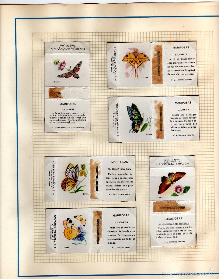 Cajas de cerillas: fosforera espa&ntilde;ola serie mariposas - Foto 2