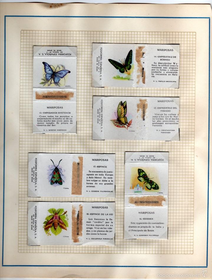 Cajas de cerillas: fosforera espa&ntilde;ola serie mariposas - Foto 3