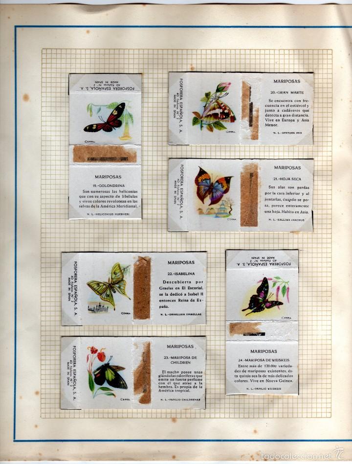 Cajas de cerillas: fosforera espa&ntilde;ola serie mariposas - Foto 4