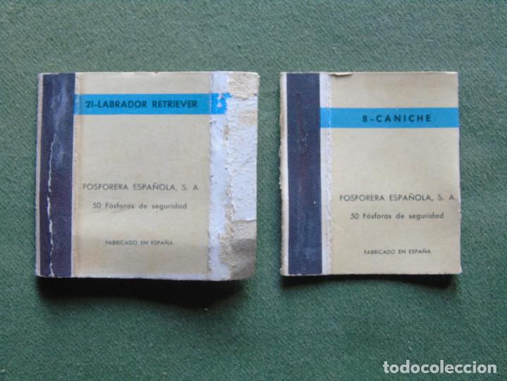 Cajas de cerillas: 2 CAJAS DE CERILLAS COLECCI&Oacute;N. RAZAS DE PERRO. - Foto 2
