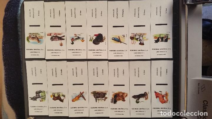 Caixas de F&oacute;sforos: Cajas de cerillas Serie completa en plancha Animales dom&eacute;sticos no comercializada