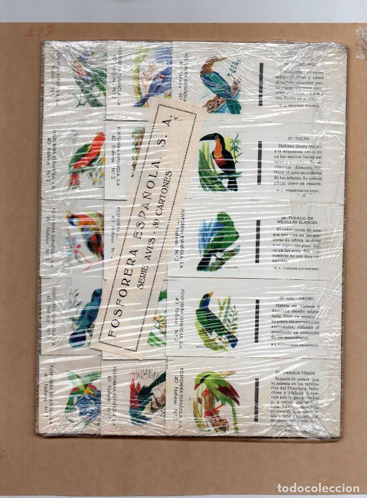 Cajas de cerillas: CAJAS DE CERILLAS FOSFORERA ESPA&Ntilde;OLA-FESA-AVES