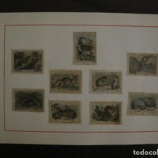 Cajas de Cerillas: HOJA CON CROMOS DE CAJAS DE CERILLAS-FAUNA IBERICA (ANIMALES)-VER FOTOS-(V-18.567). Lote 187114721