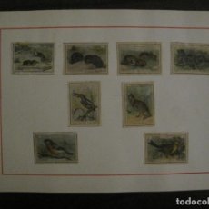 Cajas de Cerillas: HOJA CON CROMOS DE CAJAS DE CERILLAS-FAUNA IBERICA (ANIMALES)-VER FOTOS-(V-18.574). Lote 187115432