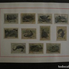 Cajas de Cerillas: HOJA CON CROMOS DE CAJAS DE CERILLAS-FAUNA IBERICA (ANIMALES)-VER FOTOS-(V-18.575. Lote 187115885