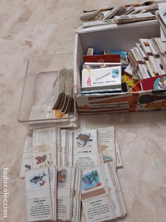 Cajas de cerillas: coleccion de cajas de cerillas - Foto 2