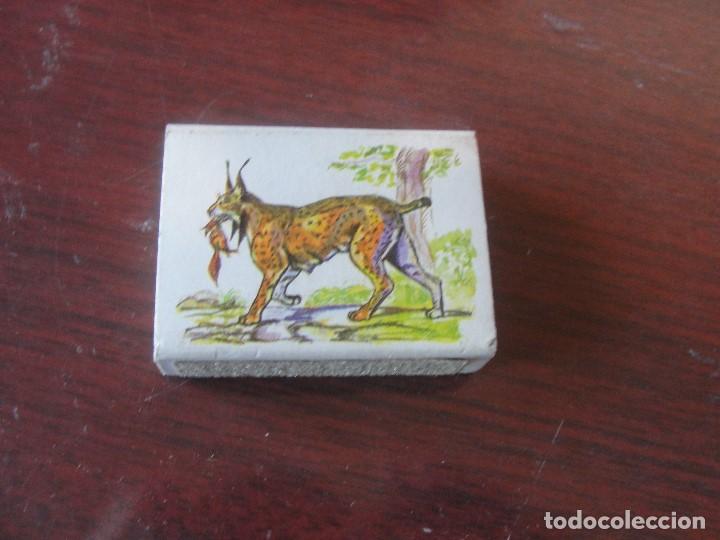 Cajas de Cerillas: FOSFORERA ESPA&Ntilde;OLA / FAUNA ESPA&Ntilde;OLA EN PELIGRO / EL LINCE
