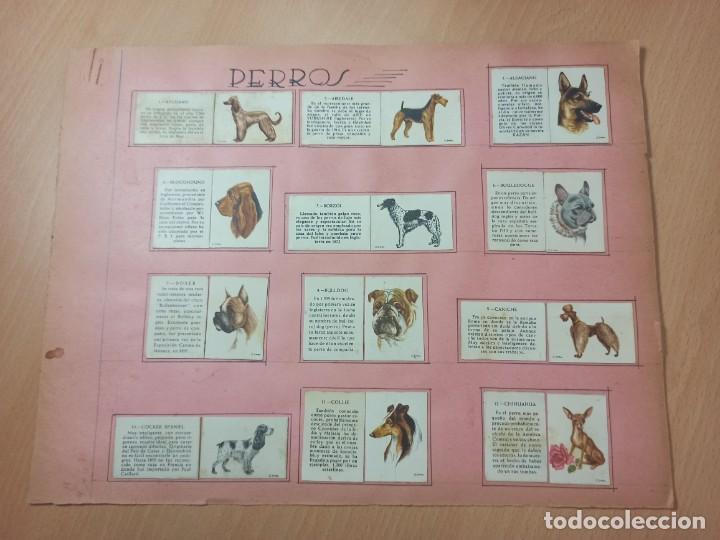 Cajas de cerillas: COLECCI&Oacute;N CAJA DE CERILLAS TEMA PERROS - Foto 1