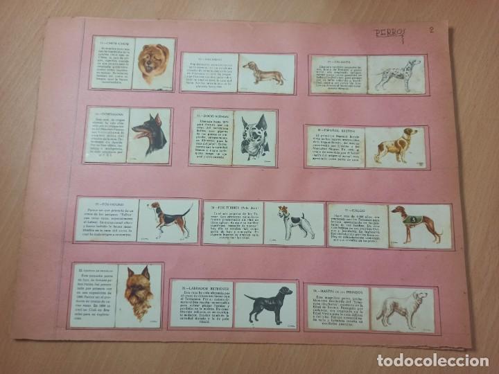Cajas de cerillas: COLECCI&Oacute;N CAJA DE CERILLAS TEMA PERROS - Foto 1