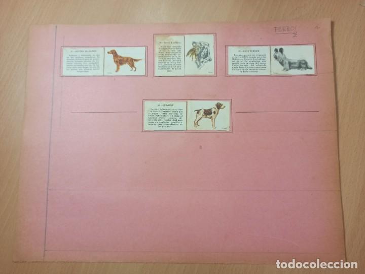 Cajas de cerillas: COLECCI&Oacute;N CAJA DE CERILLAS TEMA PERROS - Foto 1