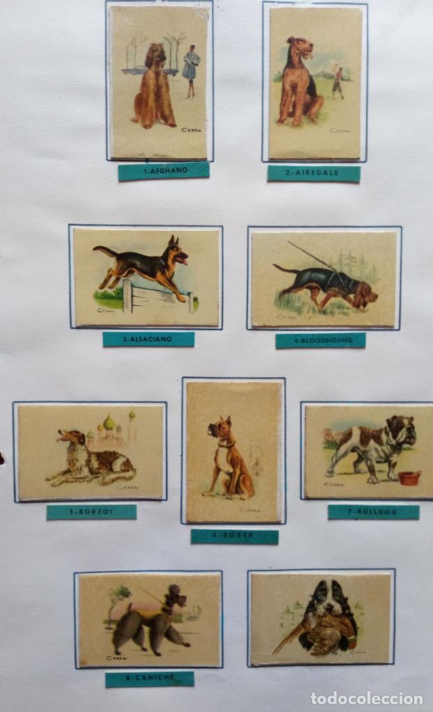 Cajas de cerillas: CAJAS DE CERILLAS - COLECCI&Oacute;N DE CROMOS - Foto 37