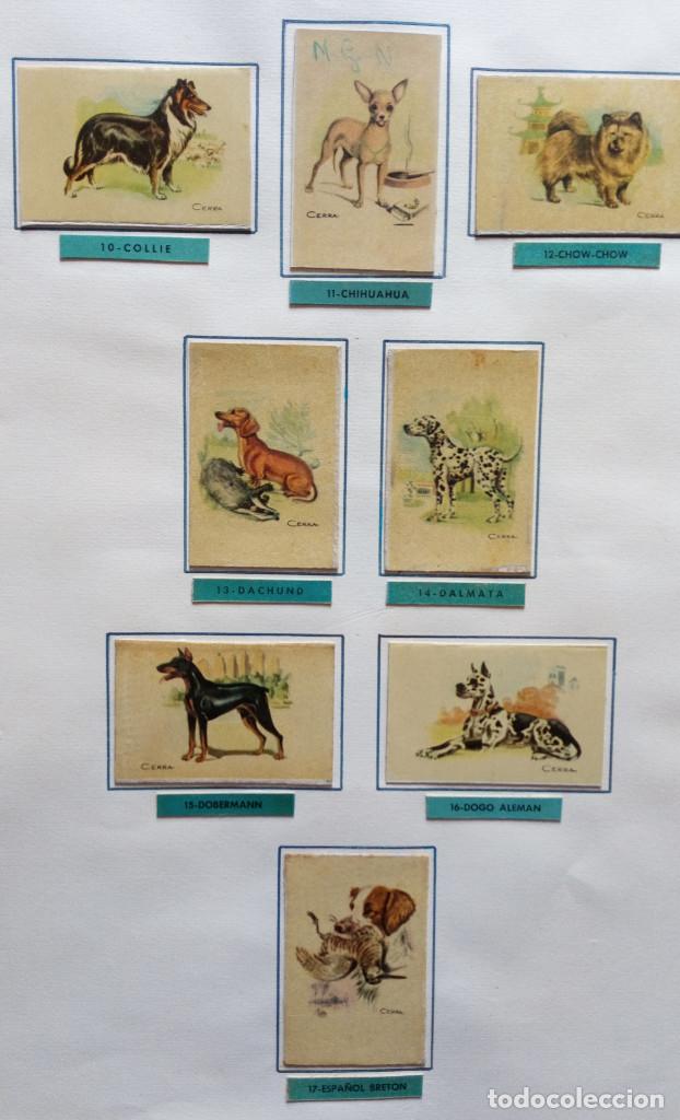Cajas de cerillas: CAJAS DE CERILLAS - COLECCI&Oacute;N DE CROMOS - Foto 38