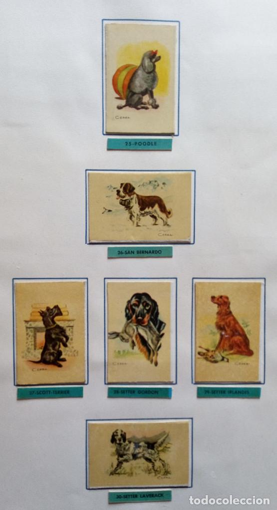 Cajas de cerillas: CAJAS DE CERILLAS - COLECCI&Oacute;N DE CROMOS - Foto 40