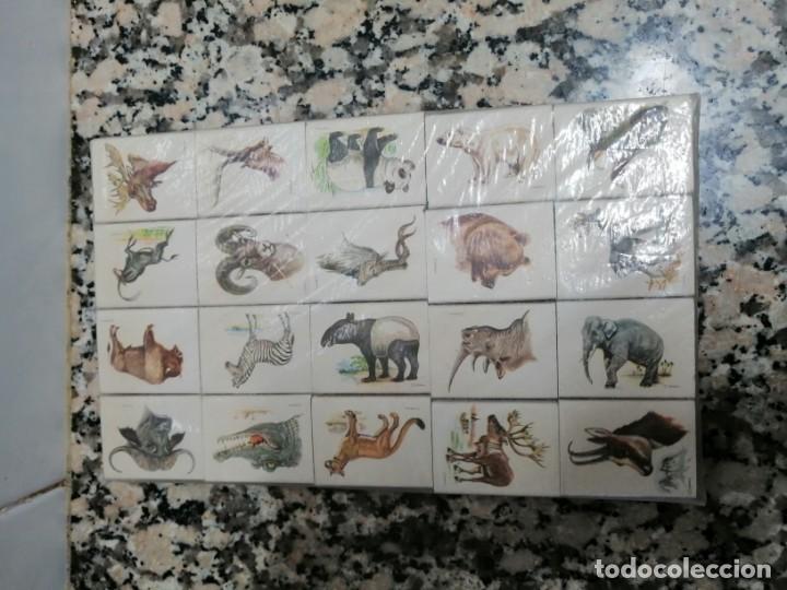 Streichholzschachteln: 40 CAJAS CERILLAS SERIE ANIMALES
