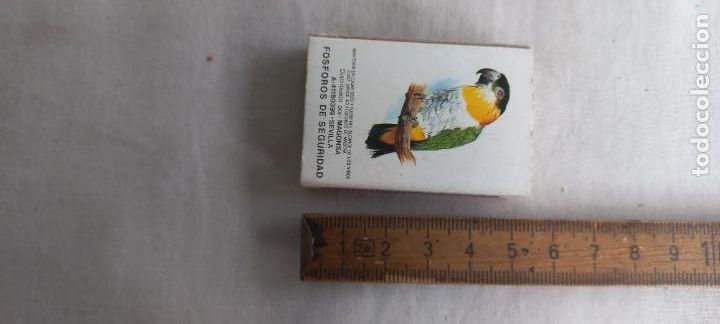 Cajas de Cerillas: ANTIGUA CAJA DE CERILLAS LORO, AVE. ARCO IRIS FIRE matchbox