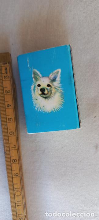 Cajas de Cerillas: RAZAS DE PERRO. FOSFOROS. Caja de cerillas MATCHBOX ALLUMETTES MATCHES.