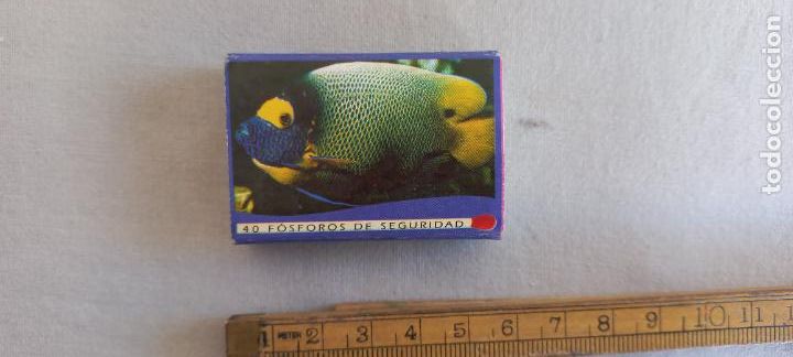 Cajas de Cerillas: PEZ, PECES. SEITA. FOSFOROS. Caja de cerillas MATCHBOX ALLUMETTES MATCHES.