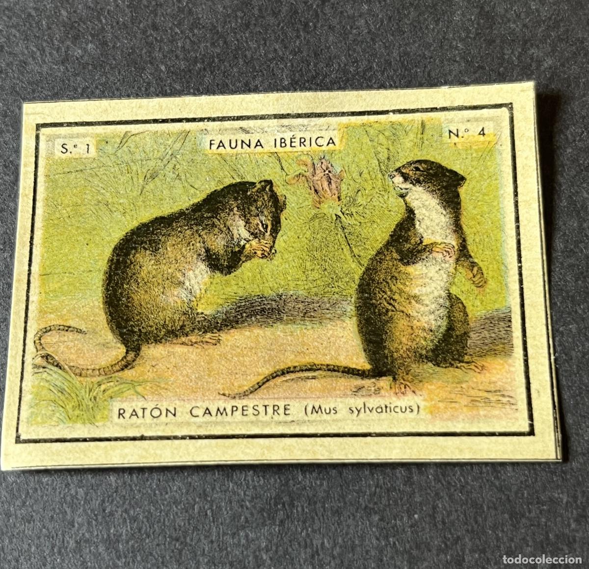 Cajas de cerillas: Fauna Iberica Serie 1 n&ordm; 4 CAF - Foto 1