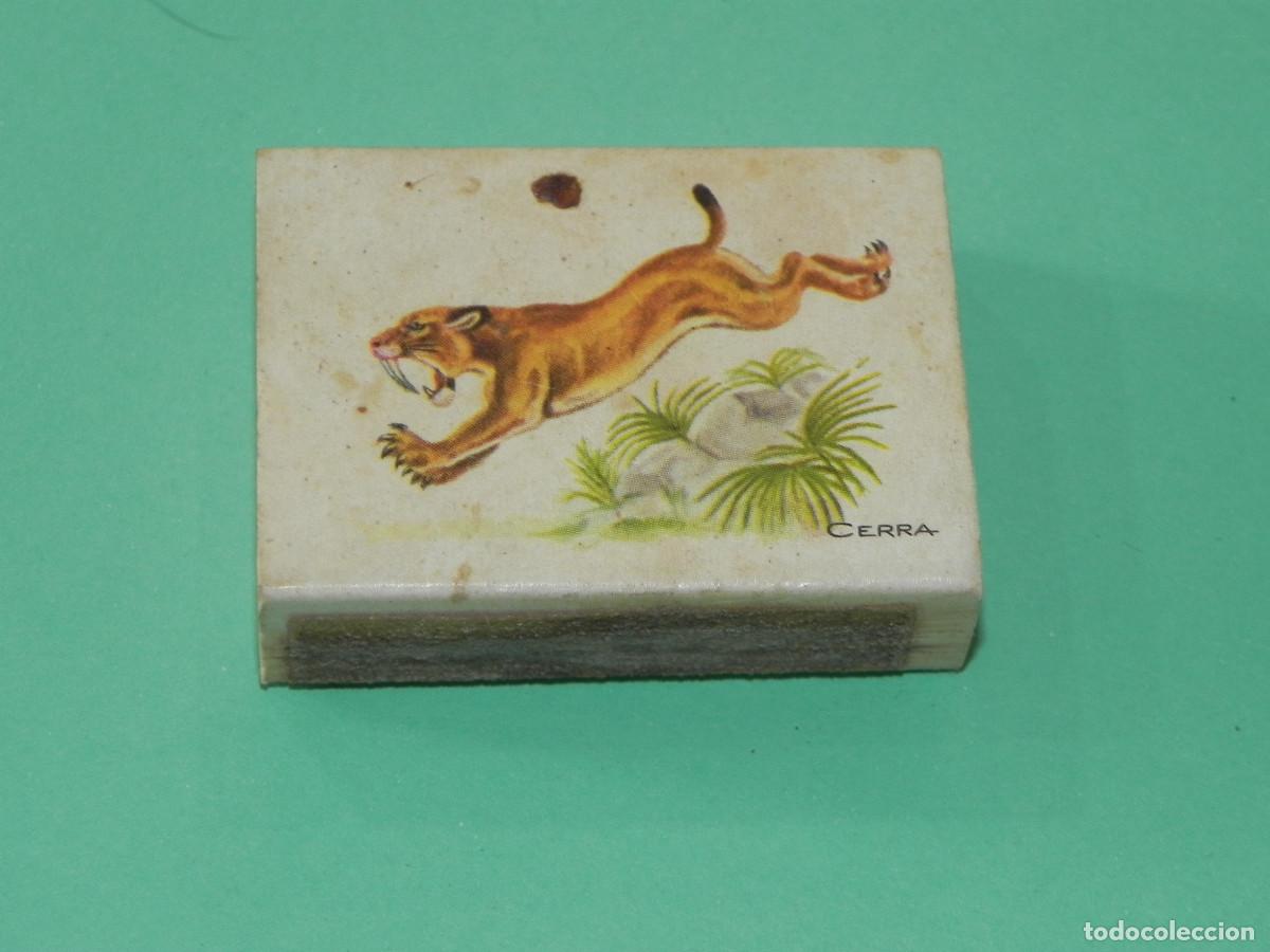 Cajas de cerillas: Caja de Cerillas Smilodon (Dientes de Sable). - Foto 1