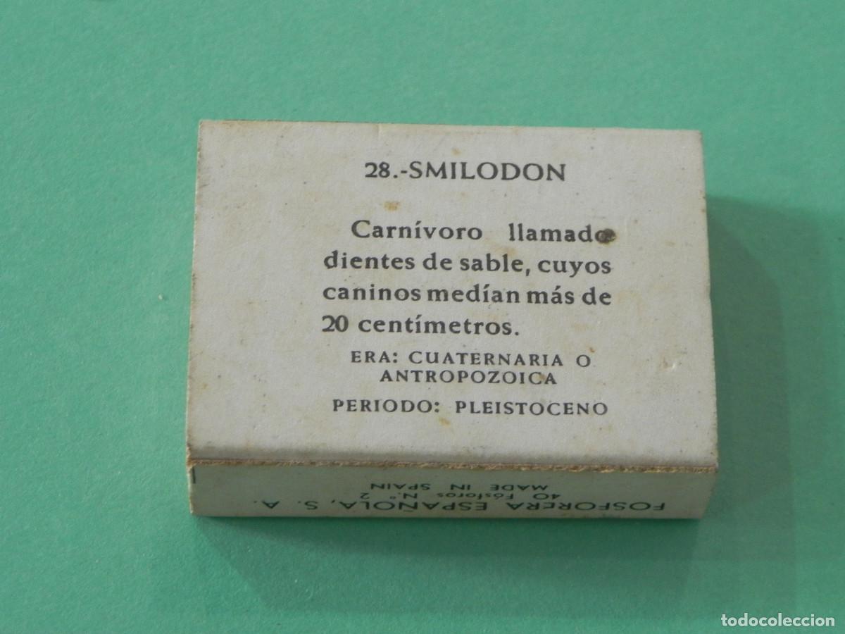 Cajas de cerillas: Caja de Cerillas Smilodon (Dientes de Sable). - Foto 2