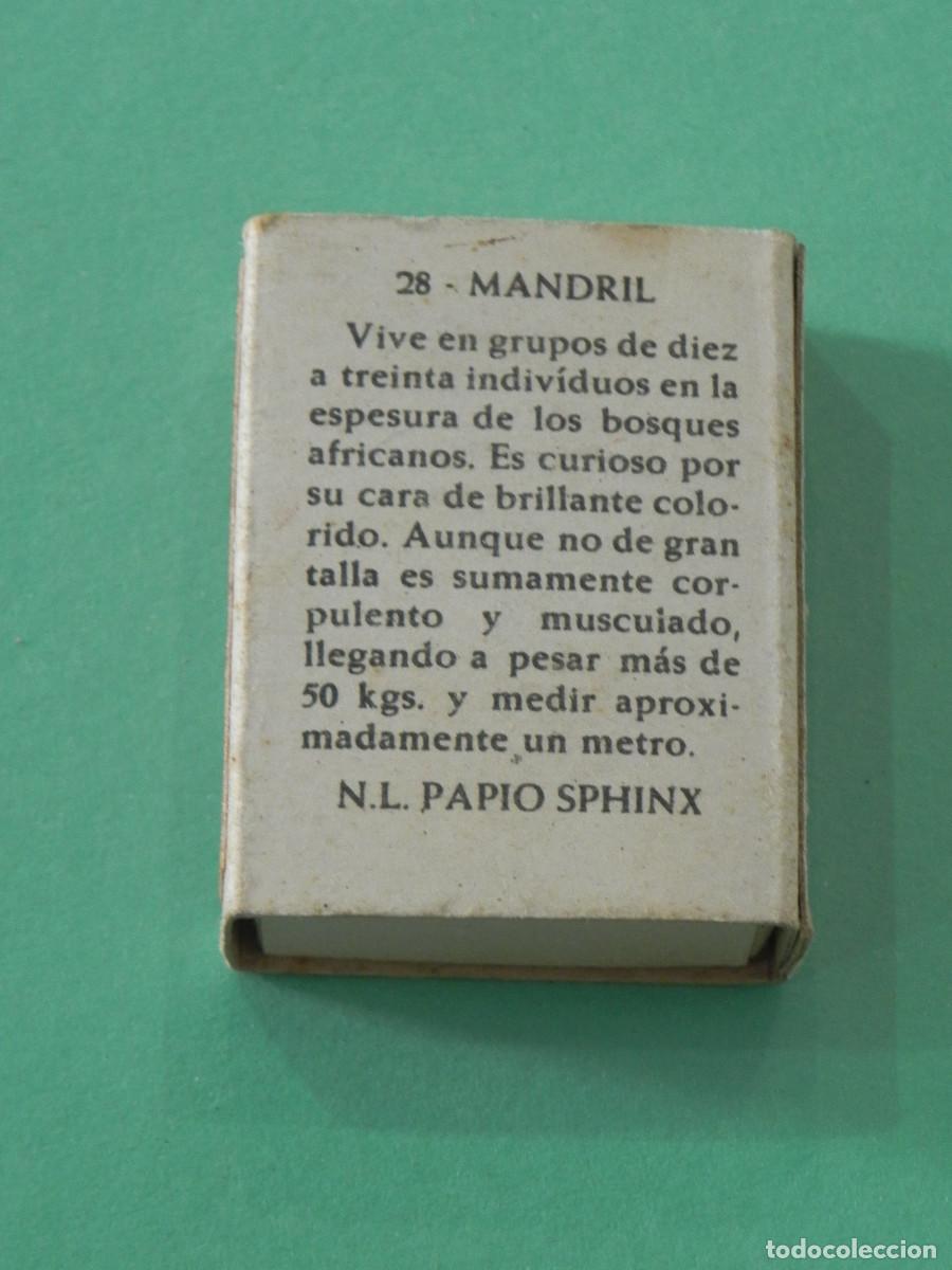 Cajas de cerillas: Caja de Cerillas, Mandril. - Foto 2
