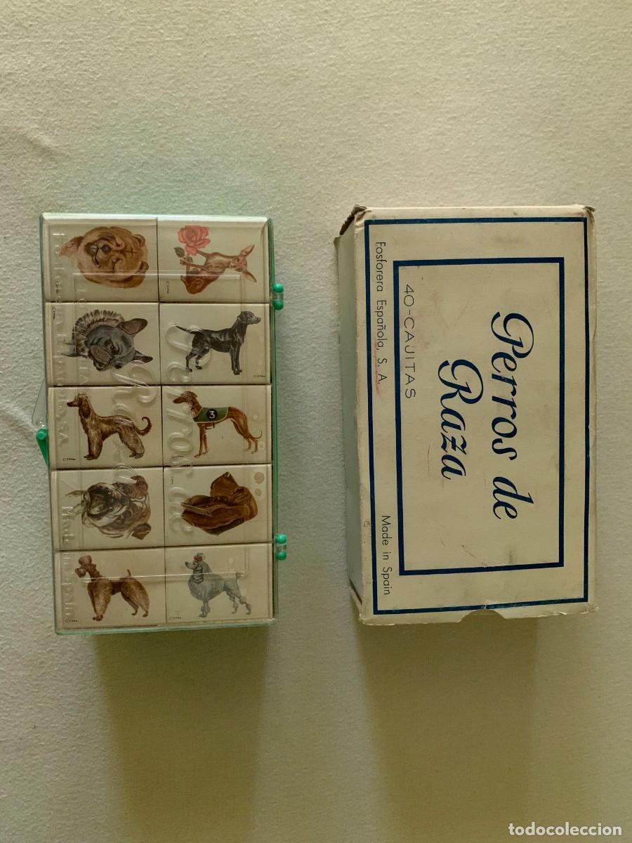 Cajas de cerillas: 40 CAJAS DE CERILLAS DE PERROS DE RAZA - Foto 1