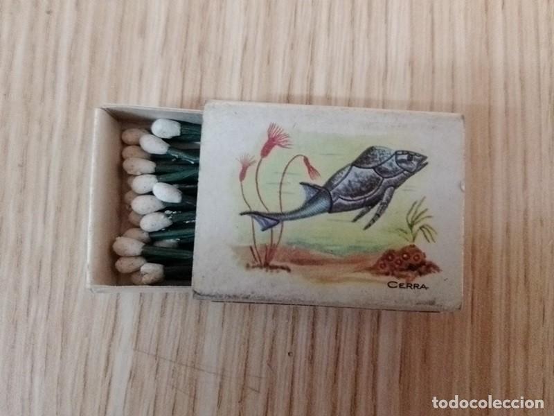 Cajas de cerillas: CAJA DE CERILLAS Cerra 2 Pterichthys - Foto 1