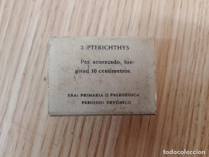 Cajas de cerillas: CAJA DE CERILLAS Cerra 2 Pterichthys - Foto 2