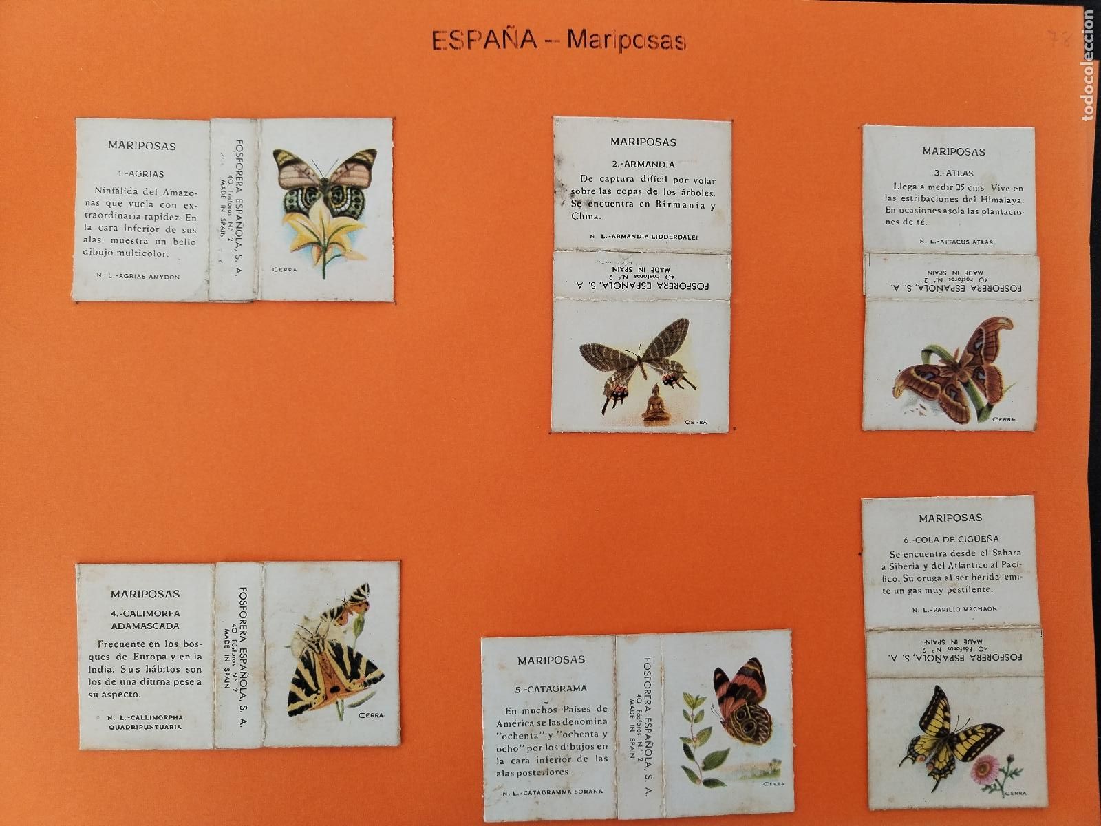 Scatole di Cerini: COLECCION CAJA DE CERILLAS, SERIE COMPLETA ESPA&Ntilde;A MARIPOSAS, 30 CAJAS - c171