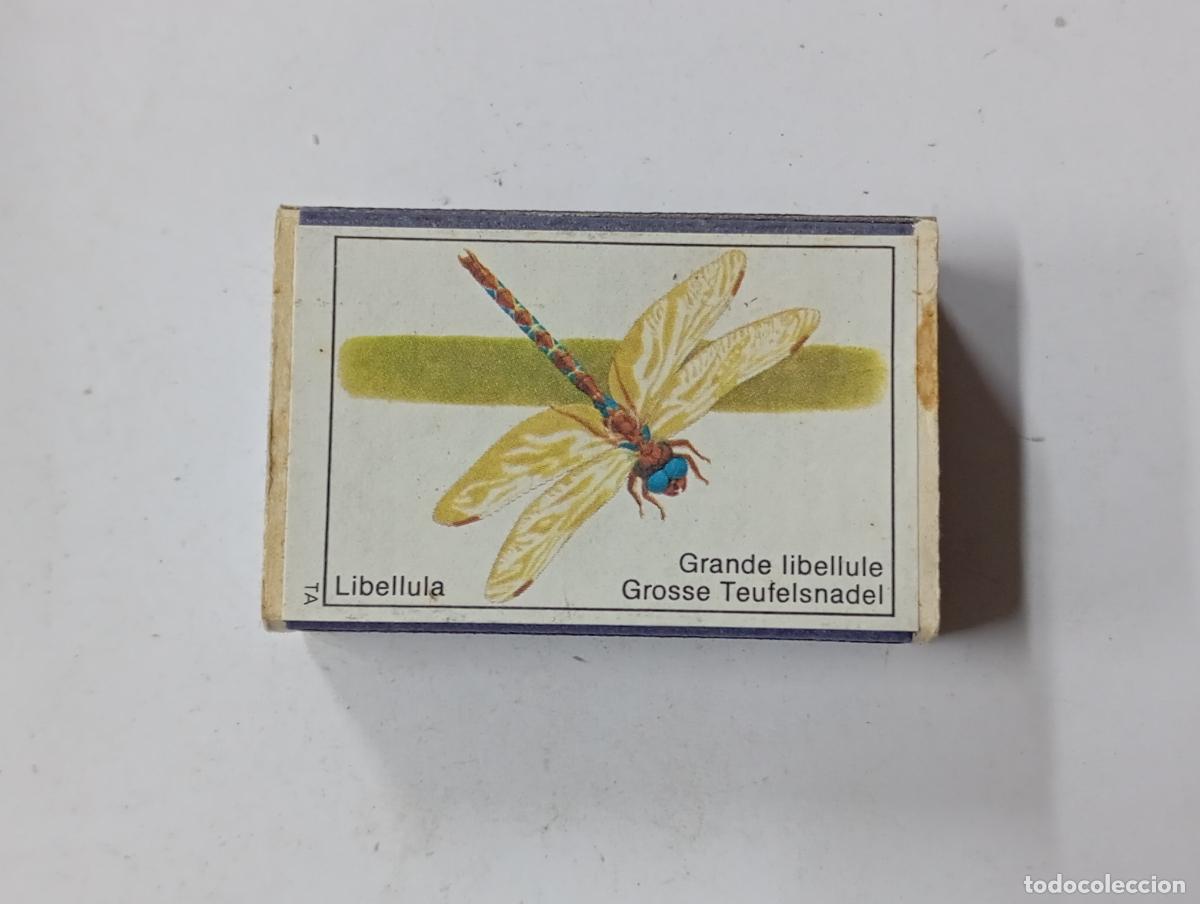 Bo&icirc;tes d'Allumettes: CAJA DE CERILLAS LIBELULA. PN17
