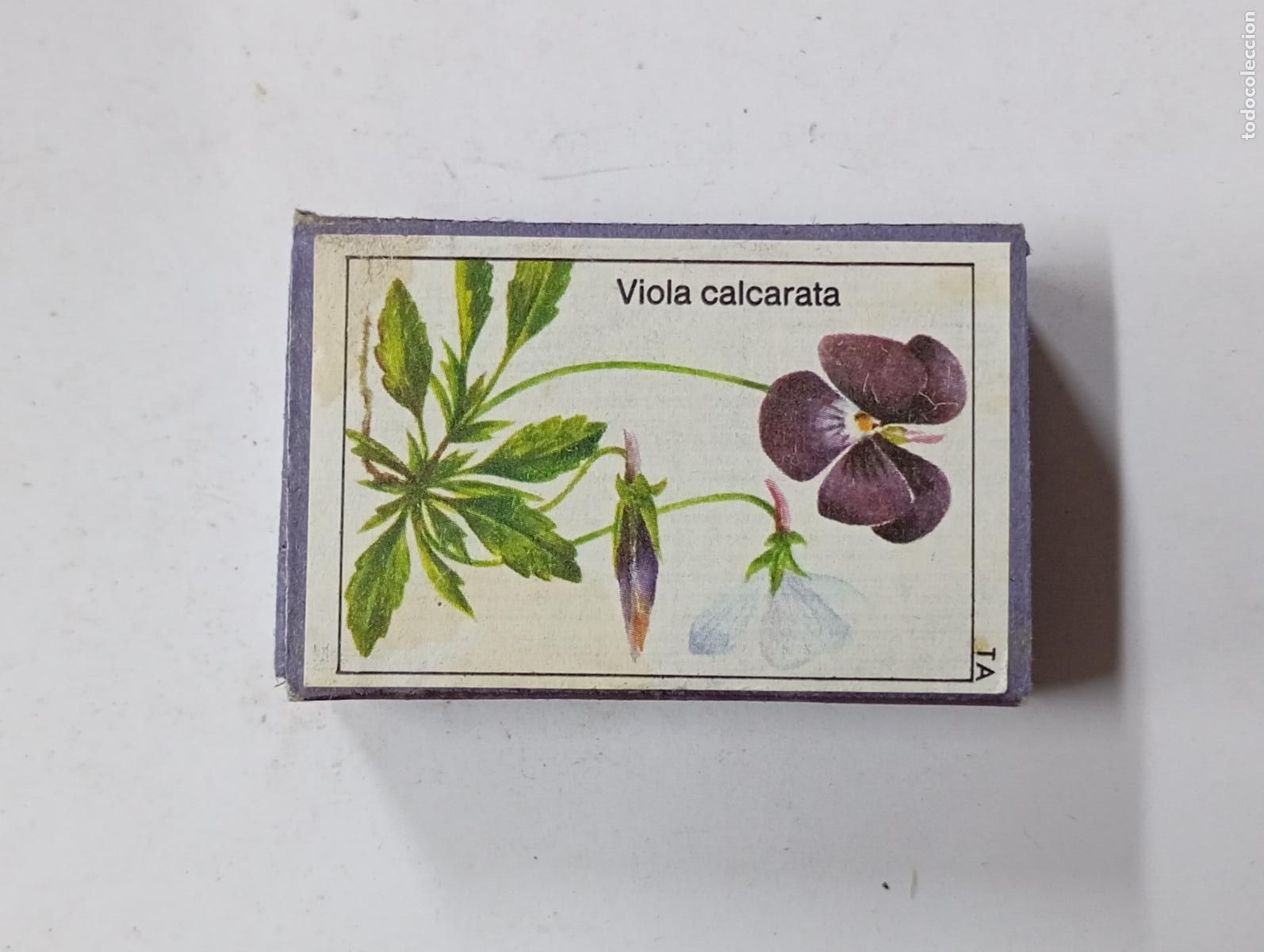 Bo&icirc;tes d'Allumettes: CAJA DE CERILLAS VIOLA CALCARATA. PN17