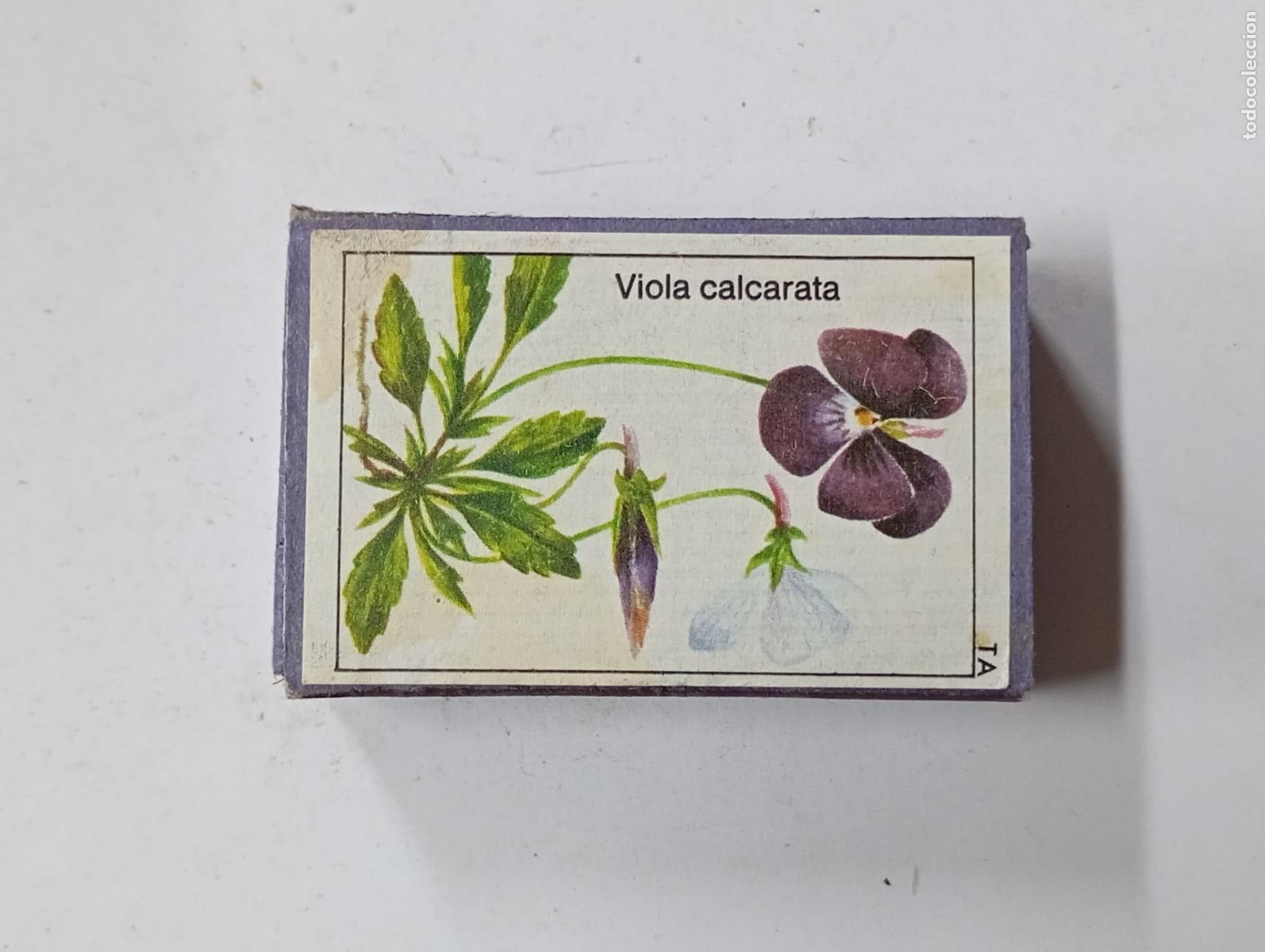 Bo&icirc;tes d'Allumettes: CAJA DE CERILLAS VIOLA CALCARATA. PN17