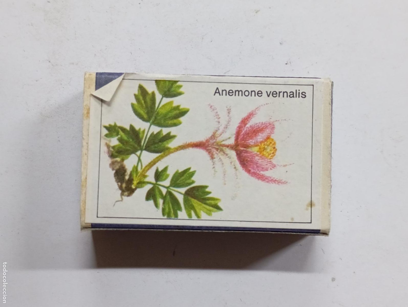 Bo&icirc;tes d'Allumettes: CAJA DE CERILLAS ANEMONE BERNALIS. PN17