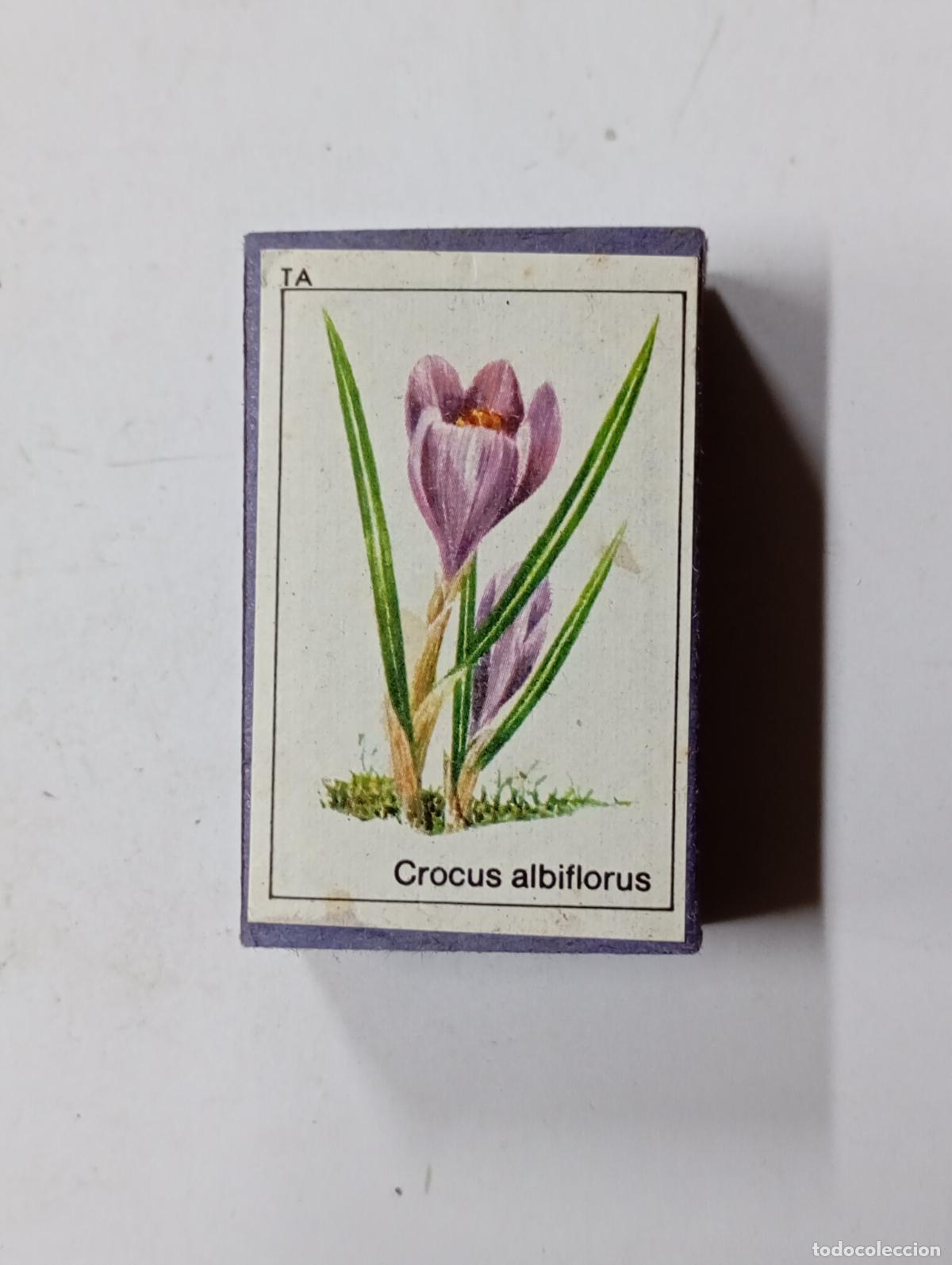 Bo&icirc;tes d'Allumettes: CAJA DE CERILLAS CROCUS ALBIFORUS. PN17