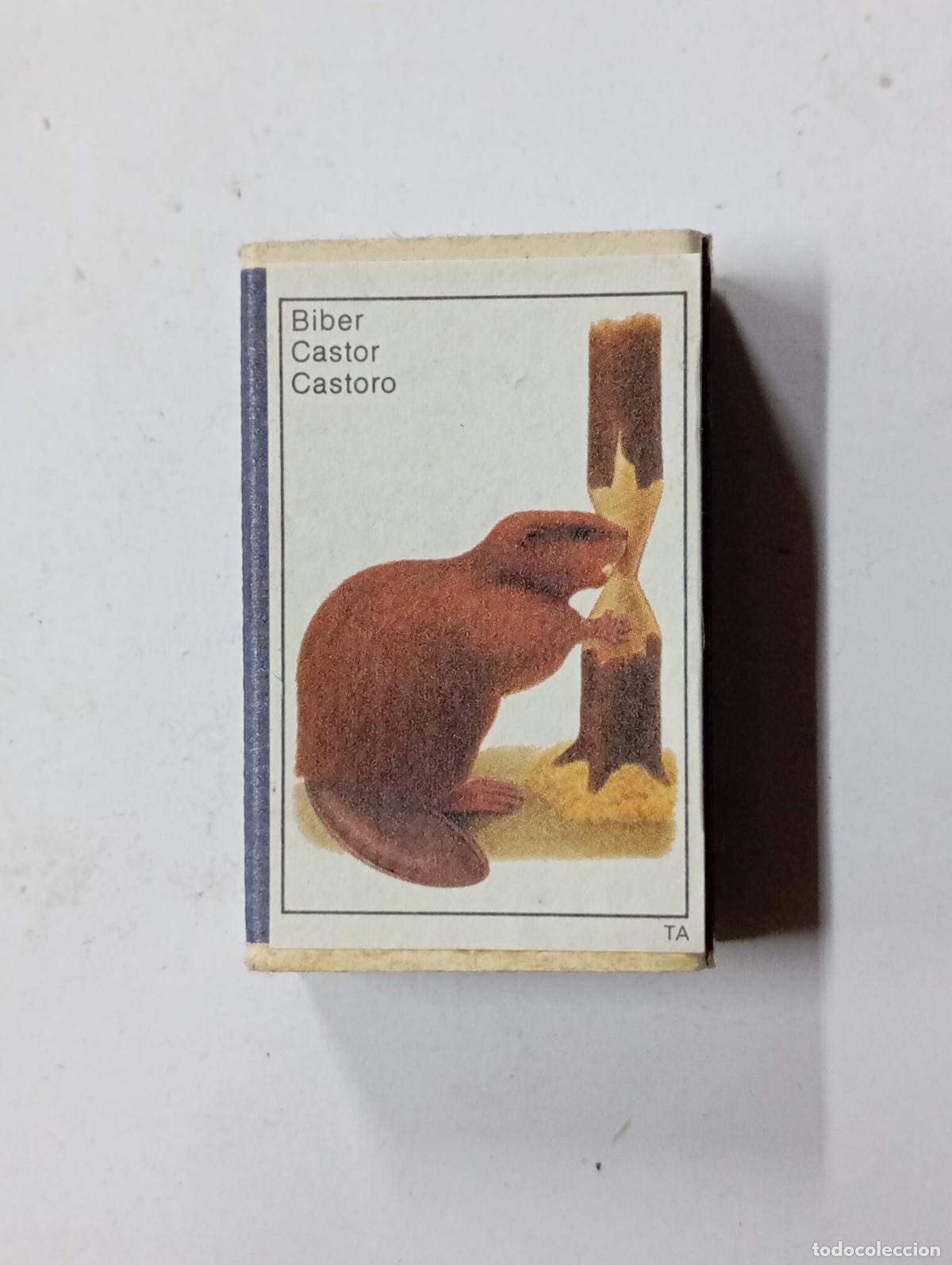 Matchboxes: CAJA DE CERILLAS CASTOR. PN17
