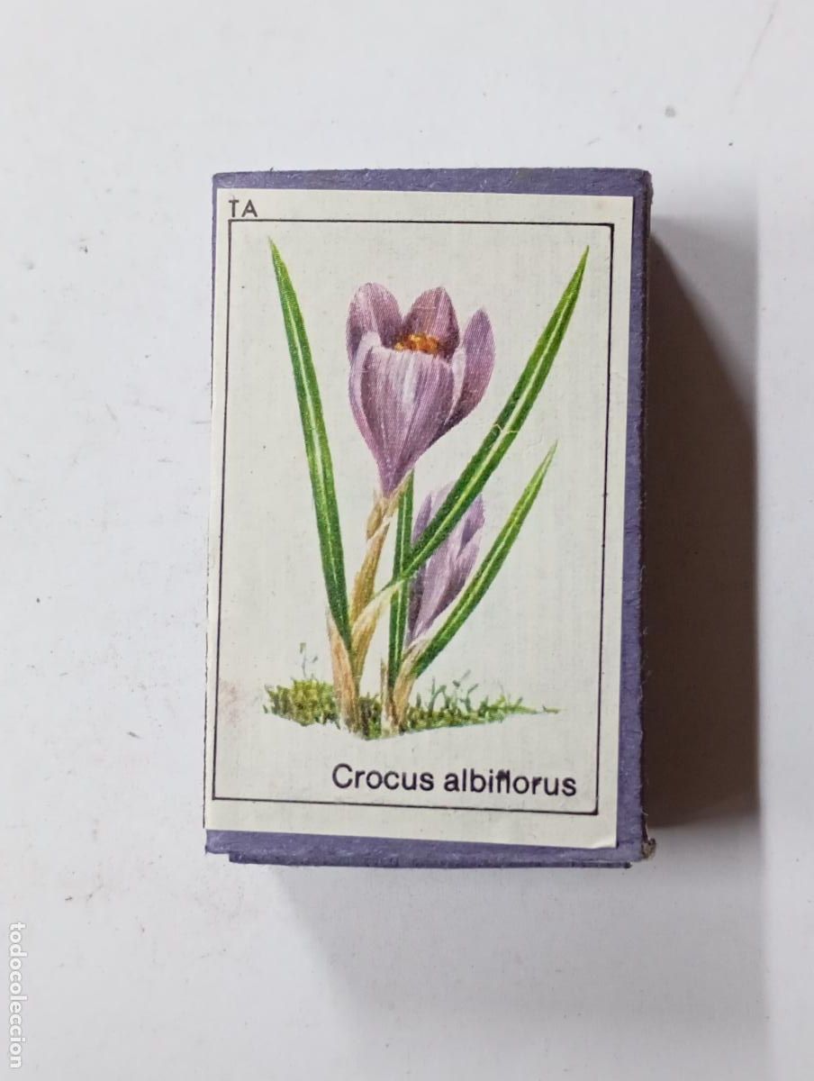 Matchboxes: CAJA DE CERILLAS CROCUS ALBIFFORUS. PN17