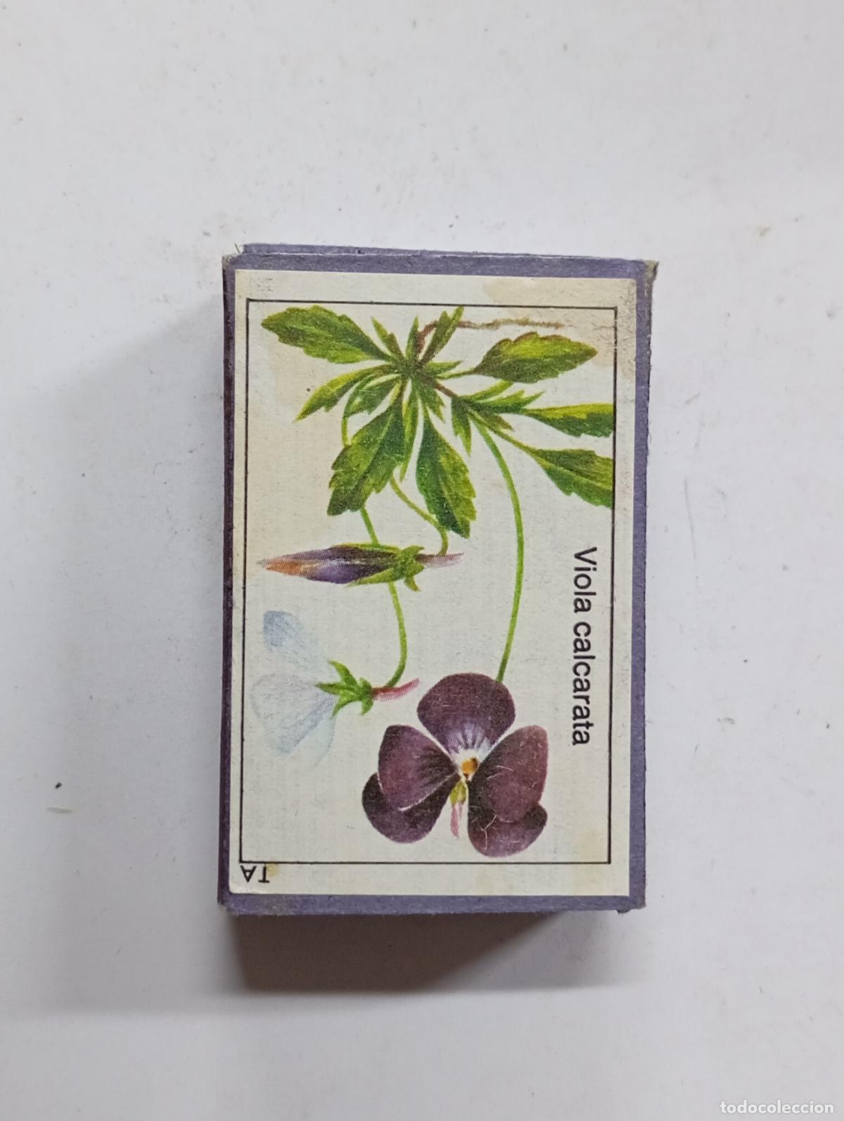 Cajas de Cerillas: CAJA DE CERILLAS. PN18