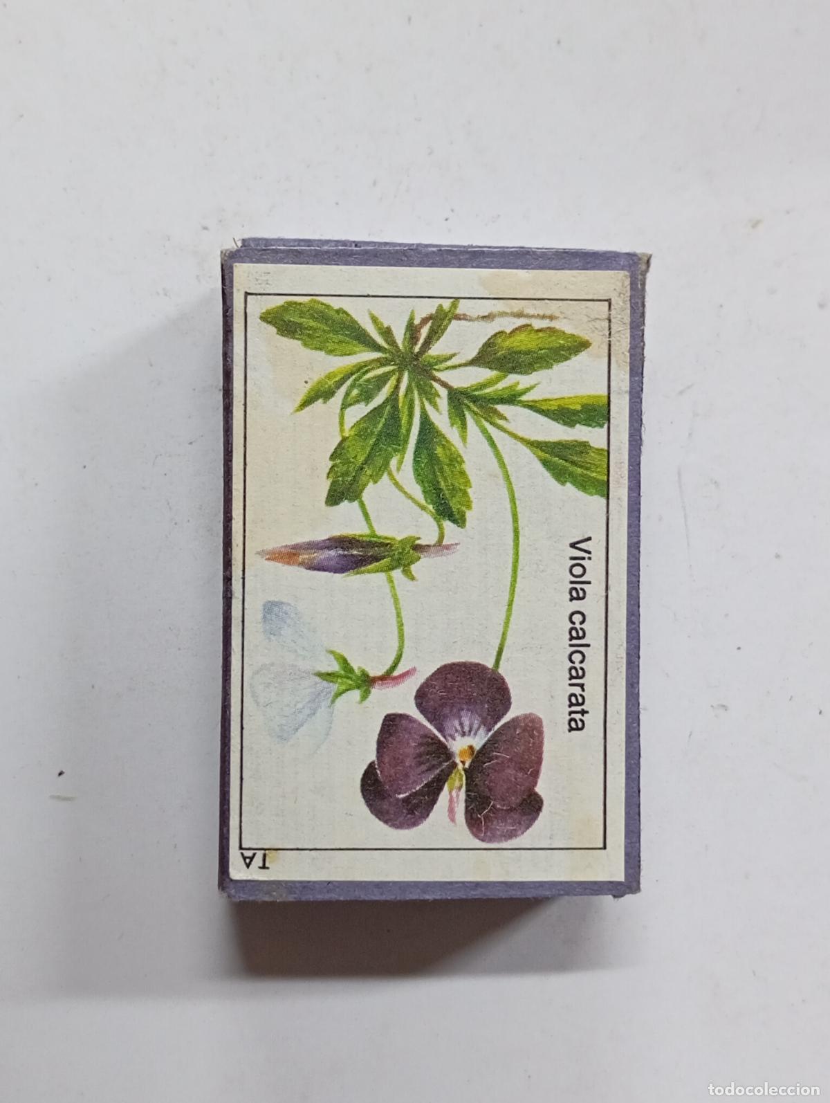 Cajas de Cerillas: CAJA DE CERILLAS. PN18