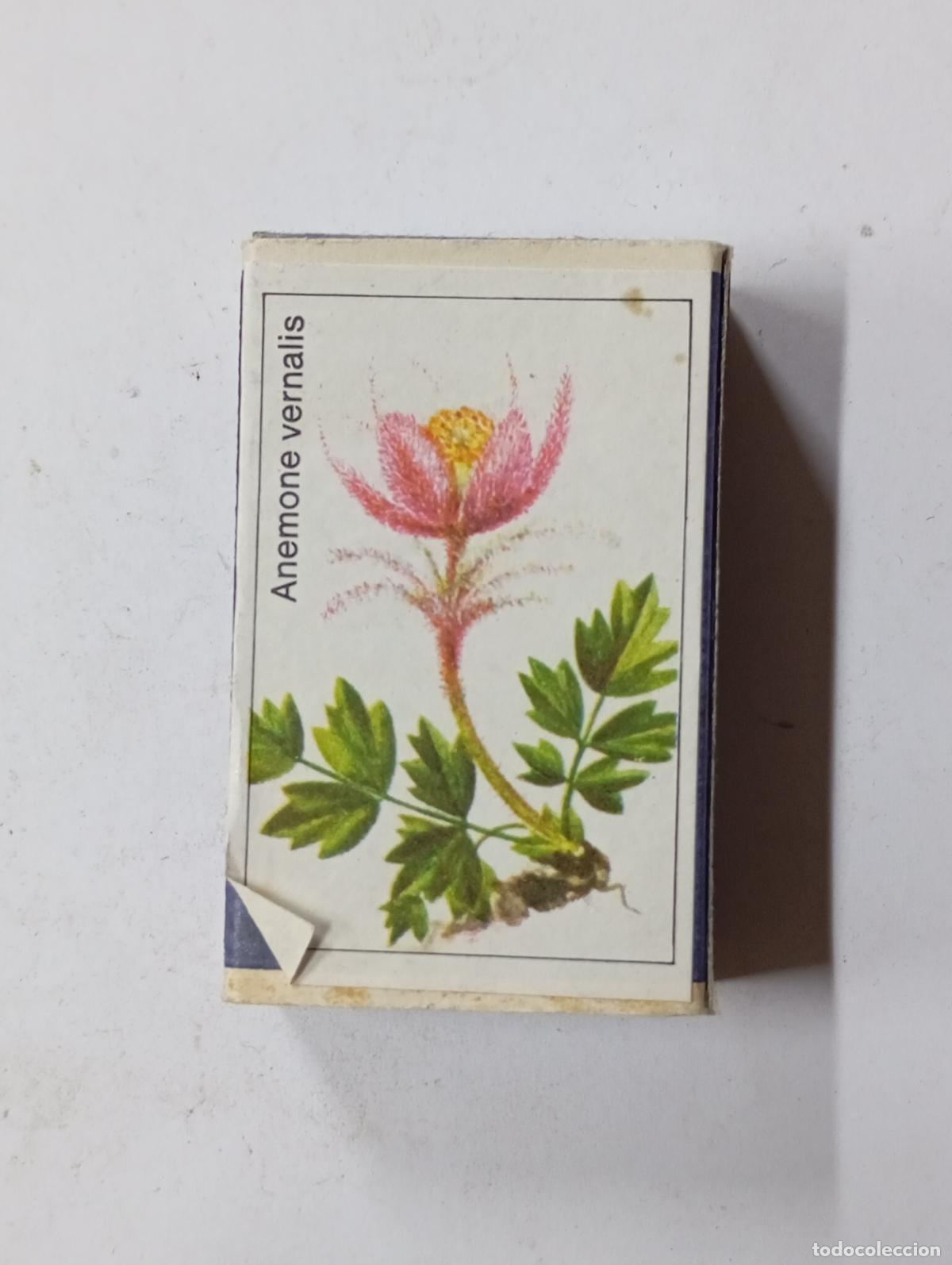 Cajas de Cerillas: CAJA DE CERILLAS. PN18