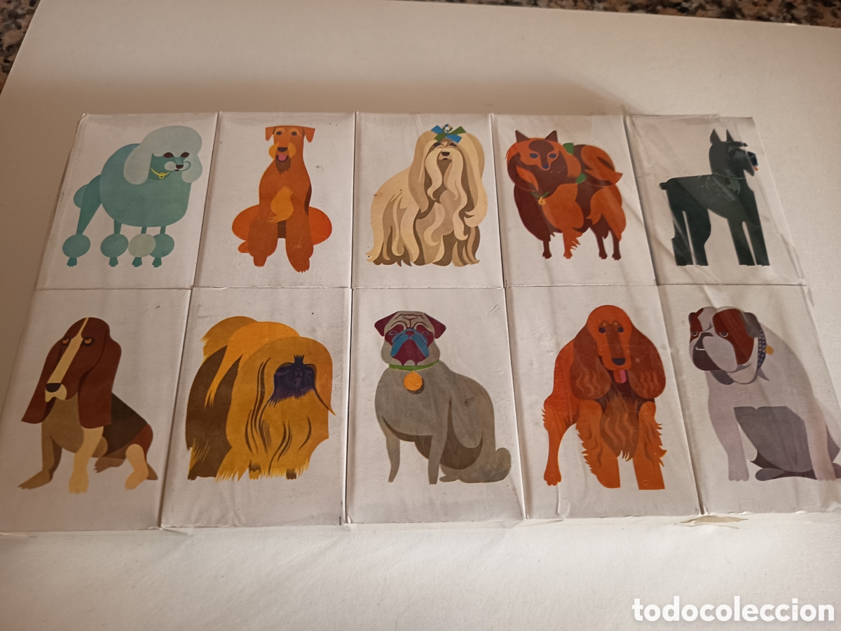 Cajas de Cerillas: Cajas cerillas grandes serie perros completa fosforera espa&ntilde;ola