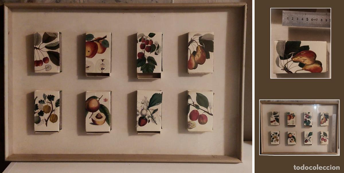 Cajas de cerillas: Cajas cerillas suecas antiguas Fondo Mundial para la Naturaleza Las frutas enmarcadas cuadro vitrina