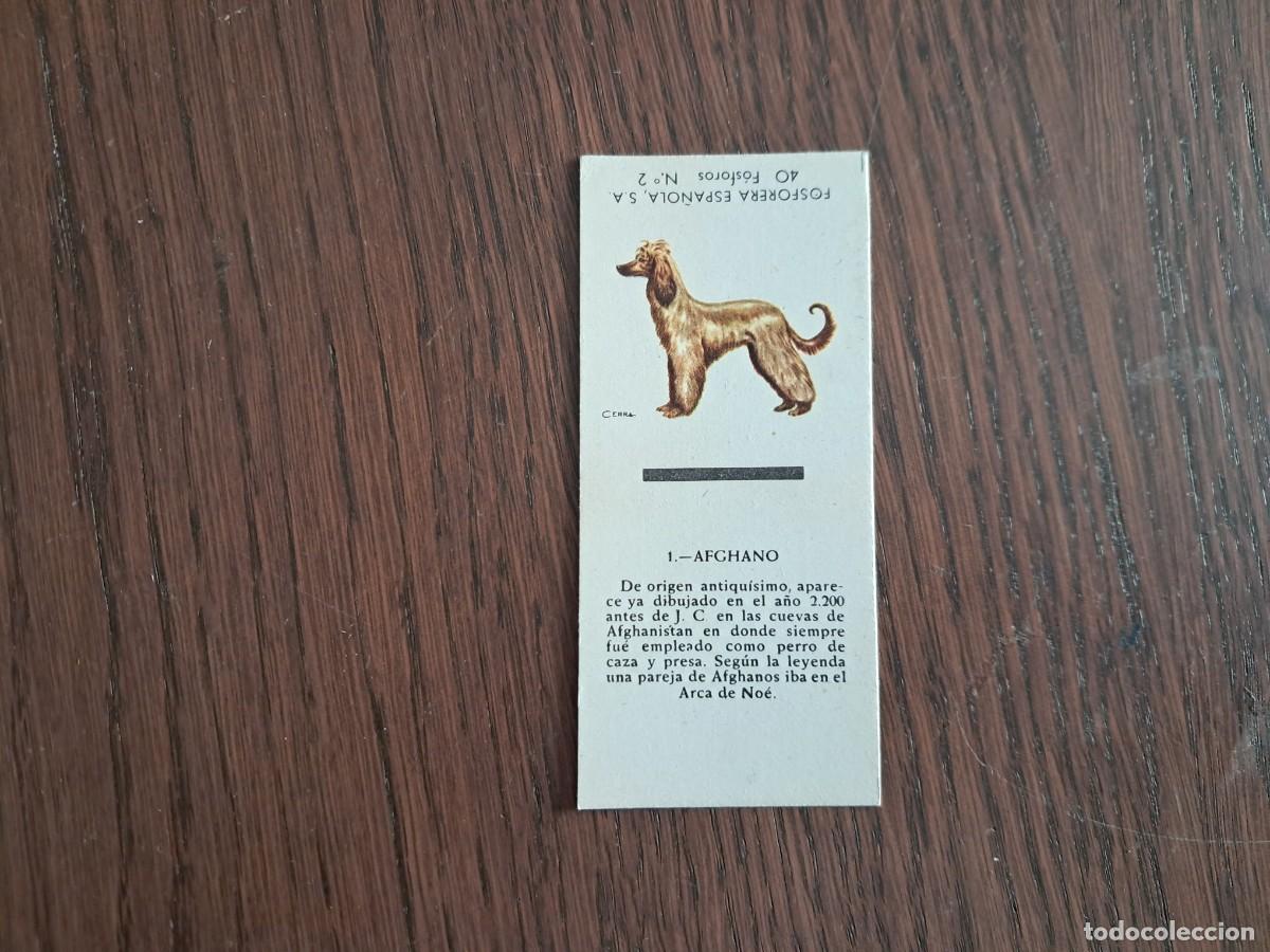 Cajas de cerillas: Caja de cerillas - Perros - N&ordm; 1 Afghano - Fosforera Espa&ntilde;ola n&ordm; 2, a&ntilde;os 60-70.